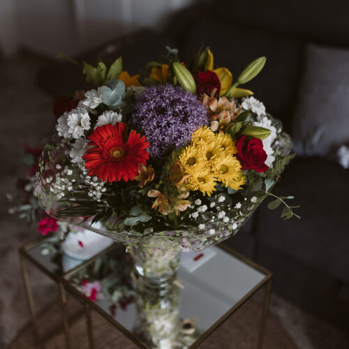 María + Juan